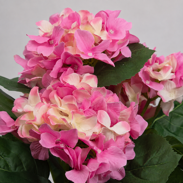 Pink Hydrangea Bush in Black Plastic Pot (Set of 2) 42cm - UV Protected, Faux Silk - A1340