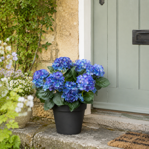 Blue Hydrangea in Black Pot 50cm/20in - A1354