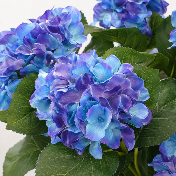 Blue Hydrangea in Black Pot 50cm/20in - A1354