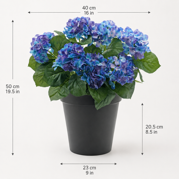 Blue Hydrangea in Black Pot 50cm/20in - A1354