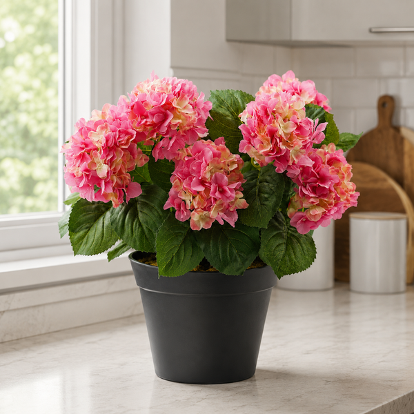Pink Hydrangea in Black Pot 50cm/20in - A1355