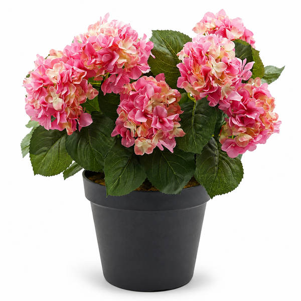 Pink Hydrangea in Black Pot 50cm/20in - A1355