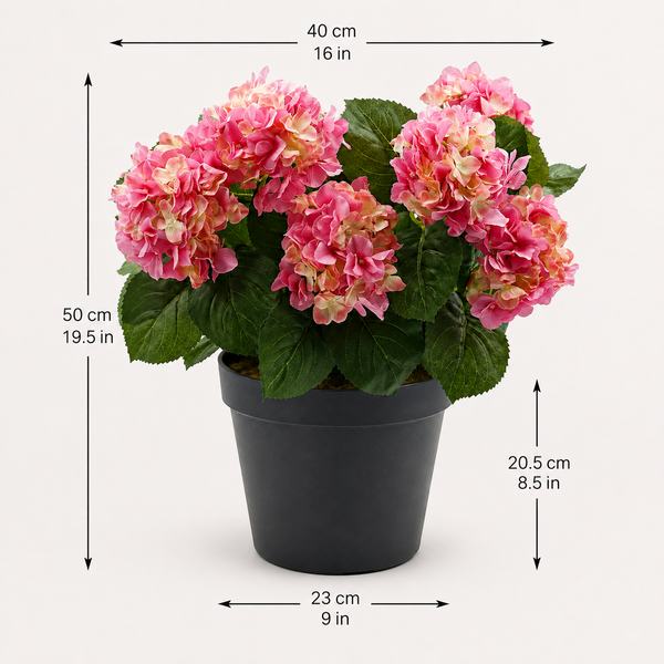 Pink Hydrangea in Black Pot 50cm/20in - A1355