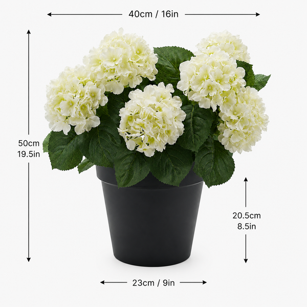 White Hydrangea in Black Pot 50cm/20in - A1356