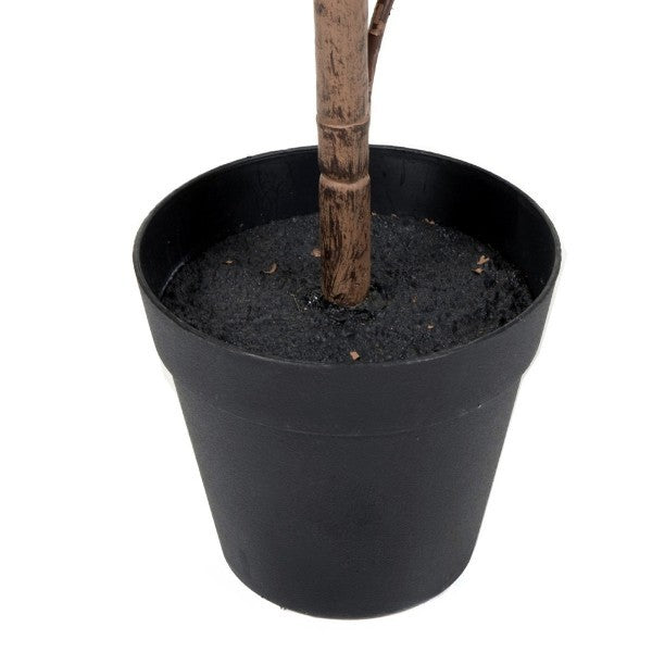 Real Touch Rubber Tree in Black Pot 70cm - A1363