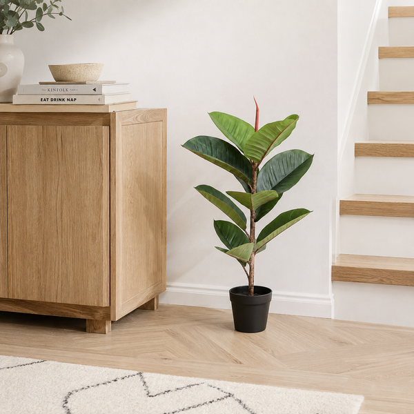 Real Touch Rubber Tree in Black Pot 70cm - A1363