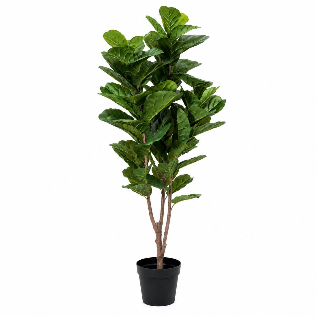 Large Real Touch Fiddleleaf Tree 5ft/150cm - A1365
