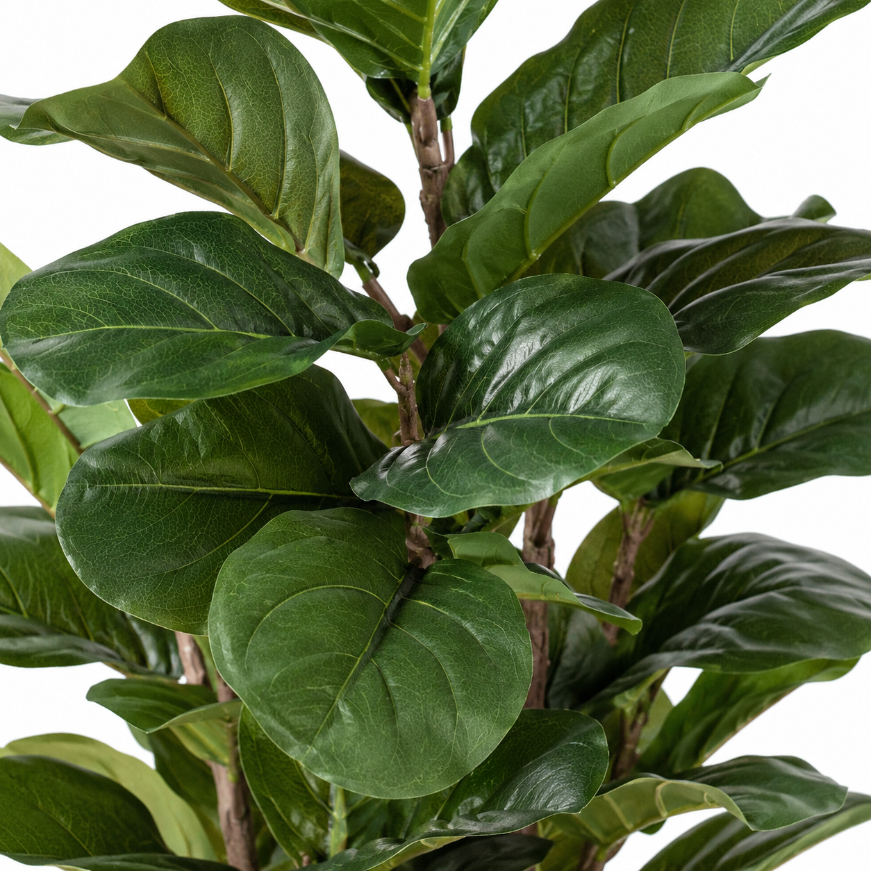 Large Real Touch Fiddleleaf Tree 5ft/150cm - A1365