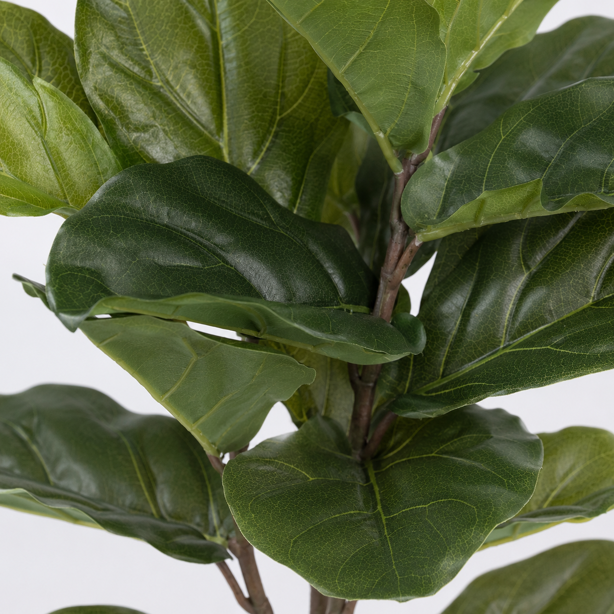 Real Touch Fiddleleaf Tree 3ft/93cm - A1367