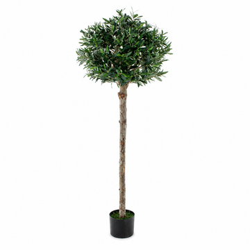 Olive Tree 5ft/150 cm - With Real Wood Trunk, Premium Quality & Natural Appearance - A1368