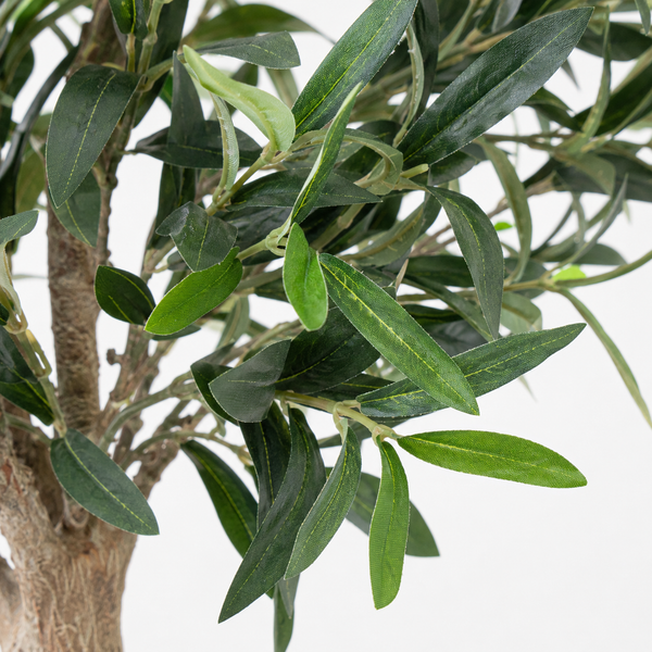 Olive Tree 5ft/150 cm - With Real Wood Trunk, Premium Quality & Natural Appearance - A1368