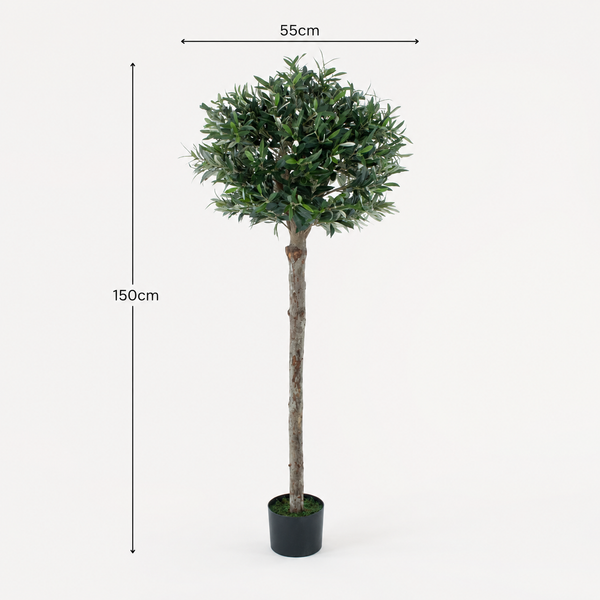 Olive Tree 5ft/150 cm - With Real Wood Trunk, Premium Quality & Natural Appearance - A1368