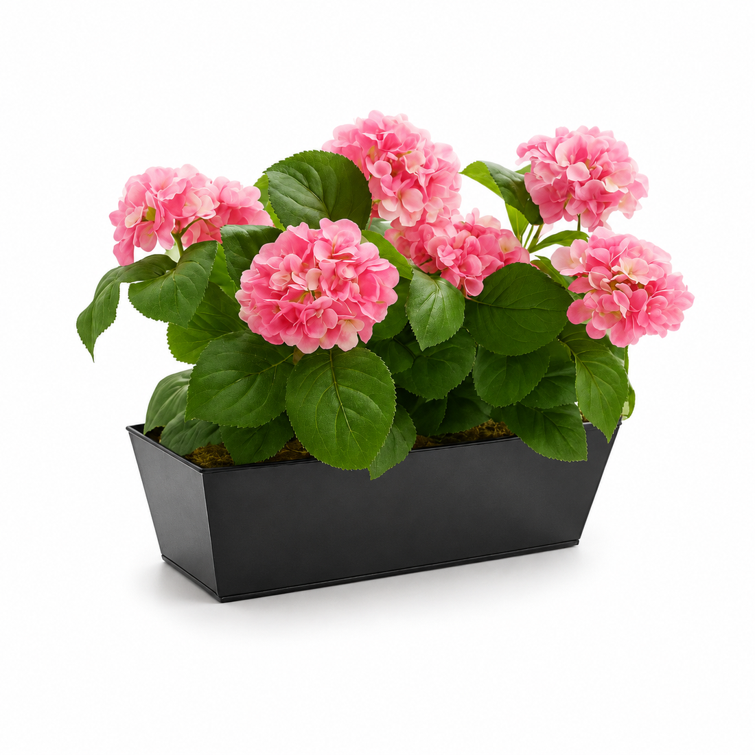 Pink Hydrangea in Black Window Box - A1383
