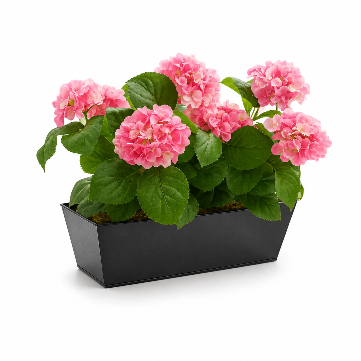 Pink Hydrangea in Black Window Box - A1383