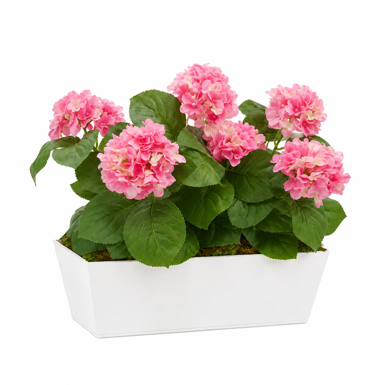 Pink Hydrangea in White Metal Window Box - A1384