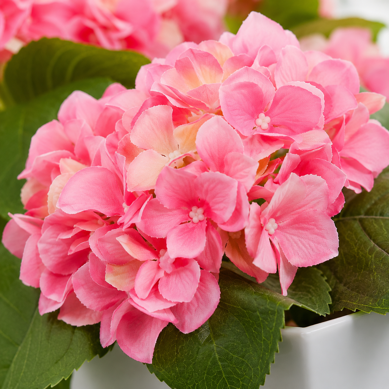 Pink Hydrangea in White Metal Window Box - A1384