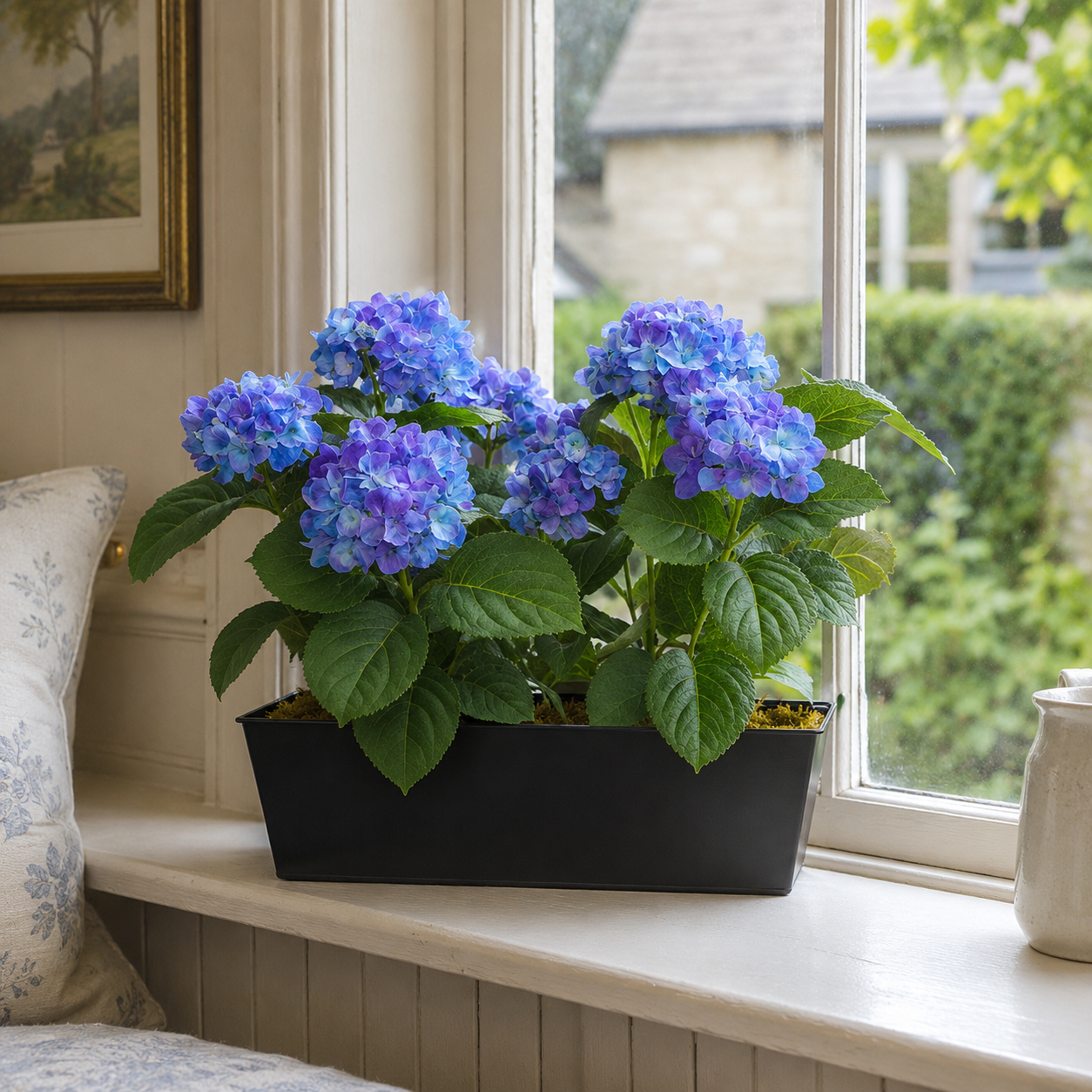 Blue Hydrangea in Black Metal Window Box - A1385