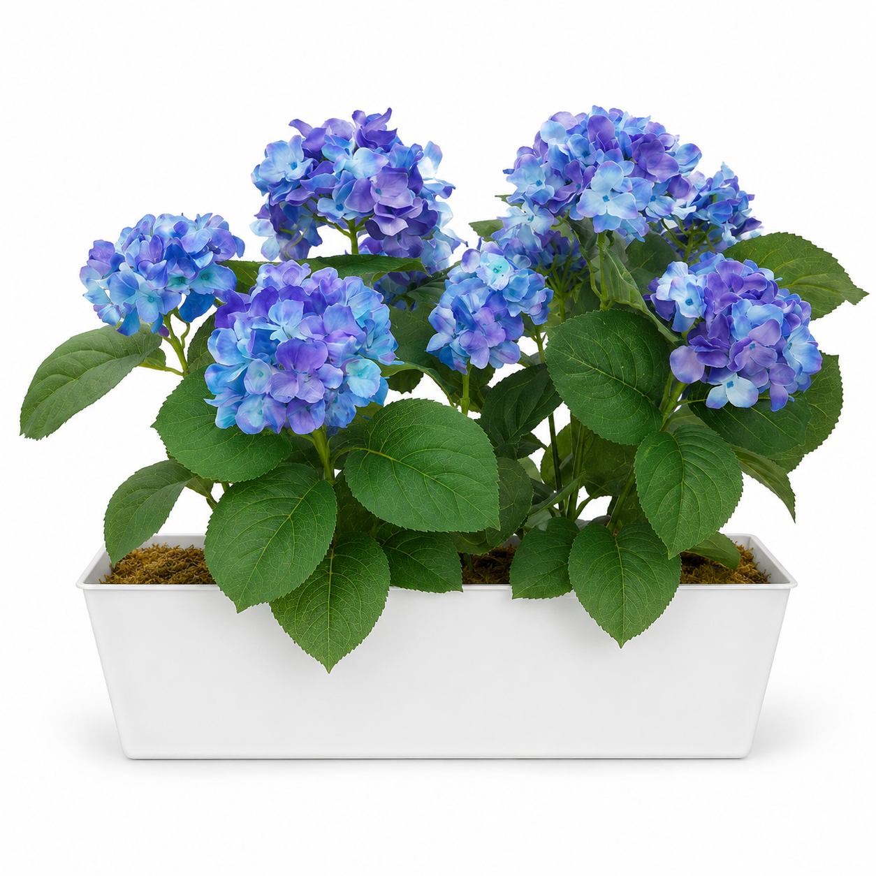 Blue Hydrangea in White Metal Window Box - A1386