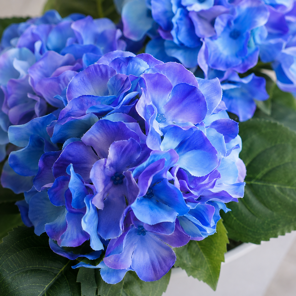 Blue Hydrangea in White Metal Window Box - A1386