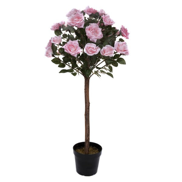 Soft Pink Rose Tree 25 Flowers 90cm/3ft - A1401