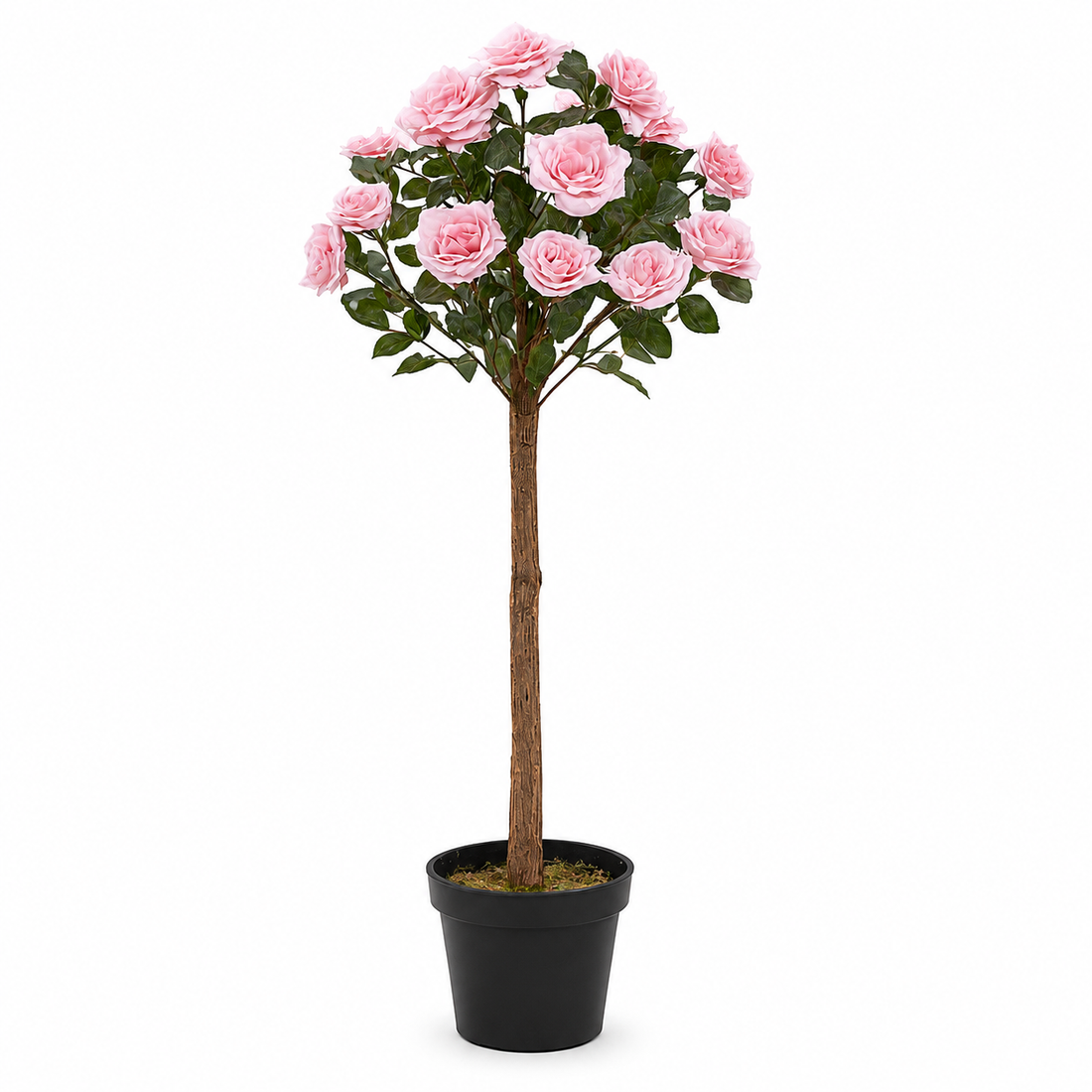 Soft Pink Rose Tree 25 Flowers 90cm/3ft - A1401