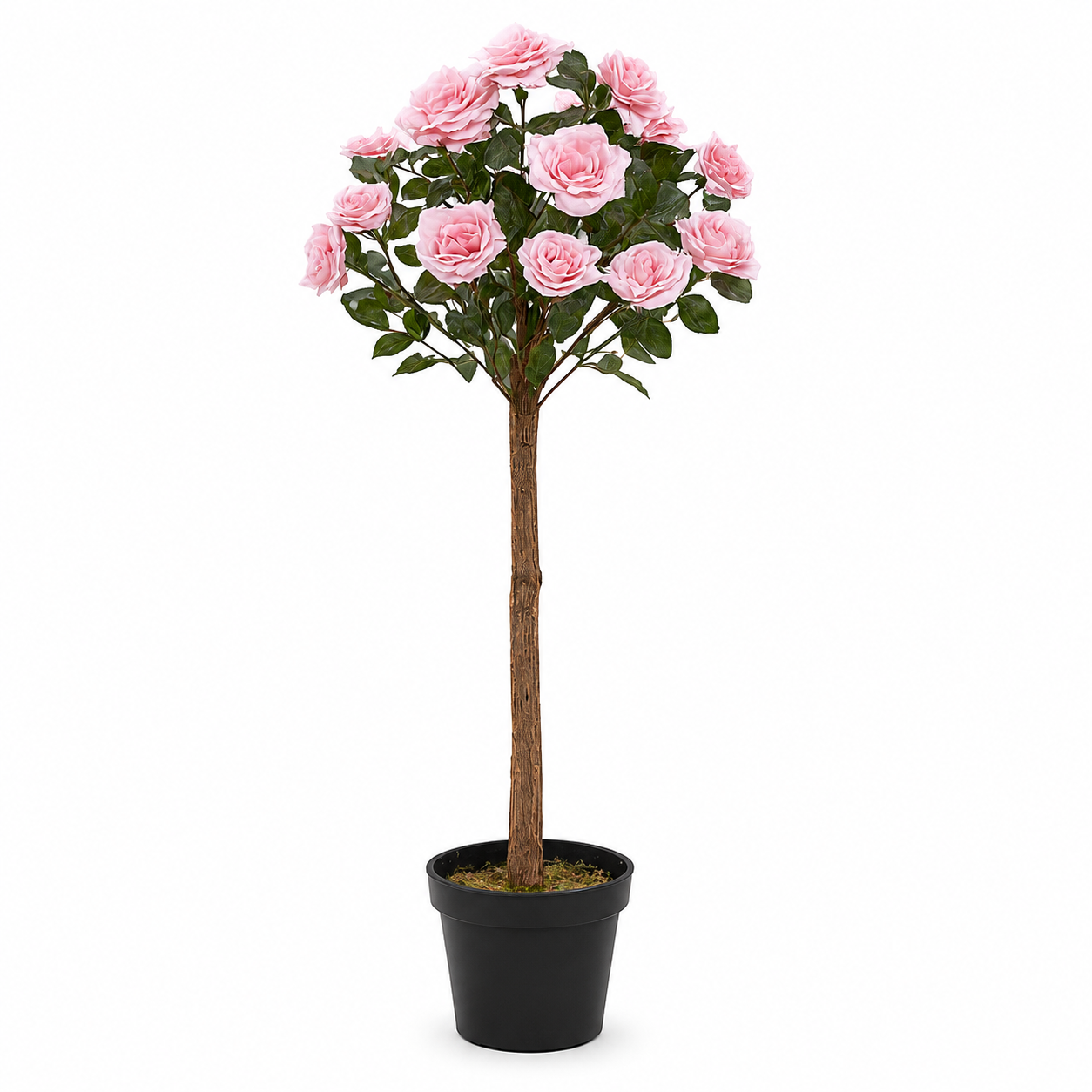 Soft Pink Rose Tree 25 Flowers 90cm/3ft - A1401