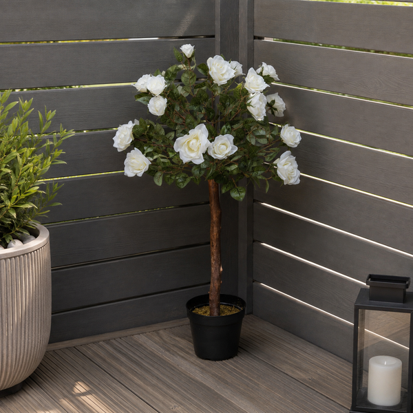 White Rose Tree 25 Flowers 90cm/3ft - A1402