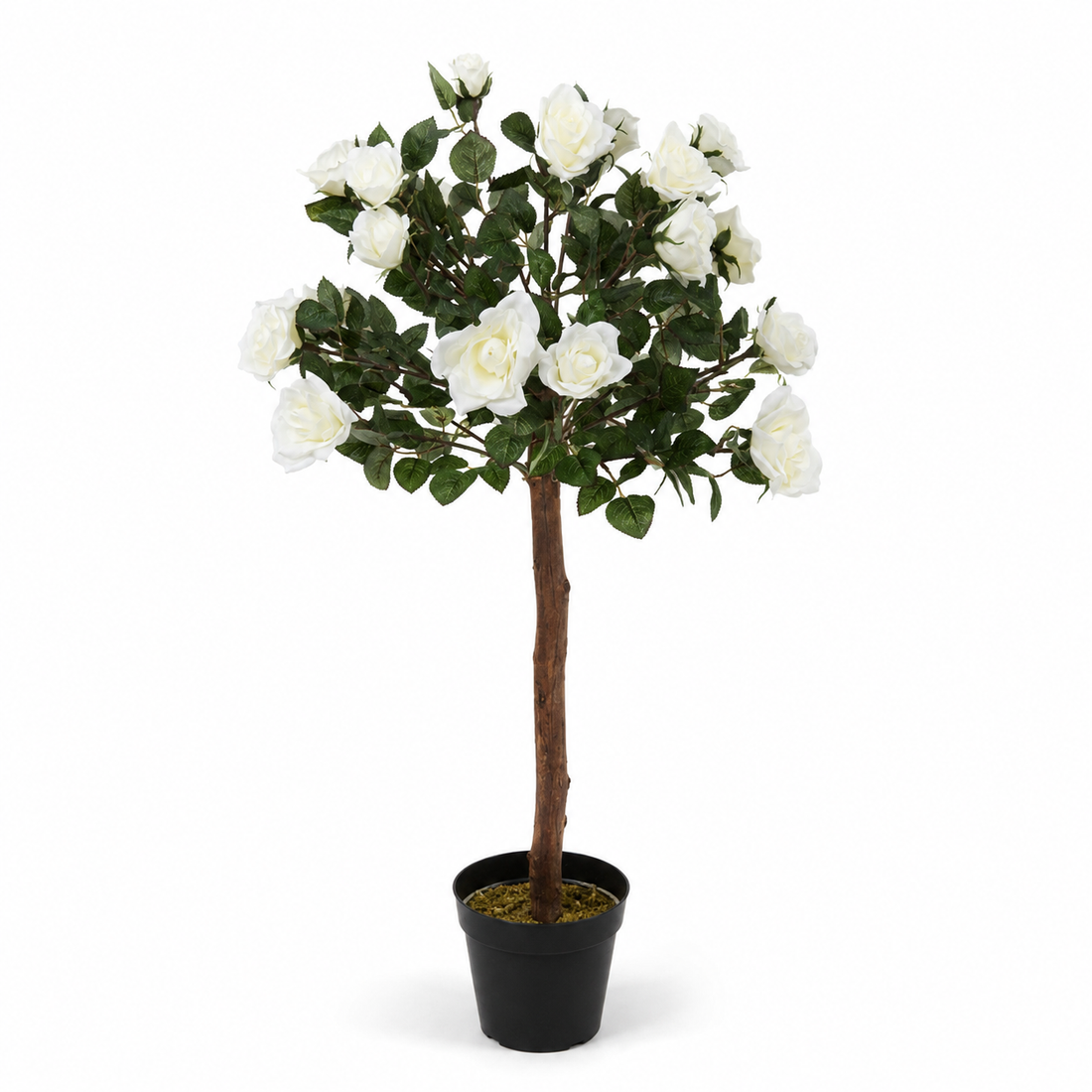 White Rose Tree 25 Flowers 90cm/3ft - A1402