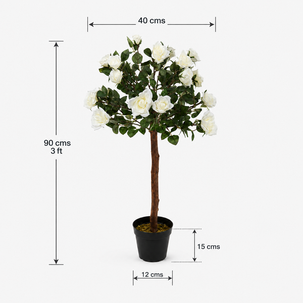 White Rose Tree 25 Flowers 90cm/3ft - A1402