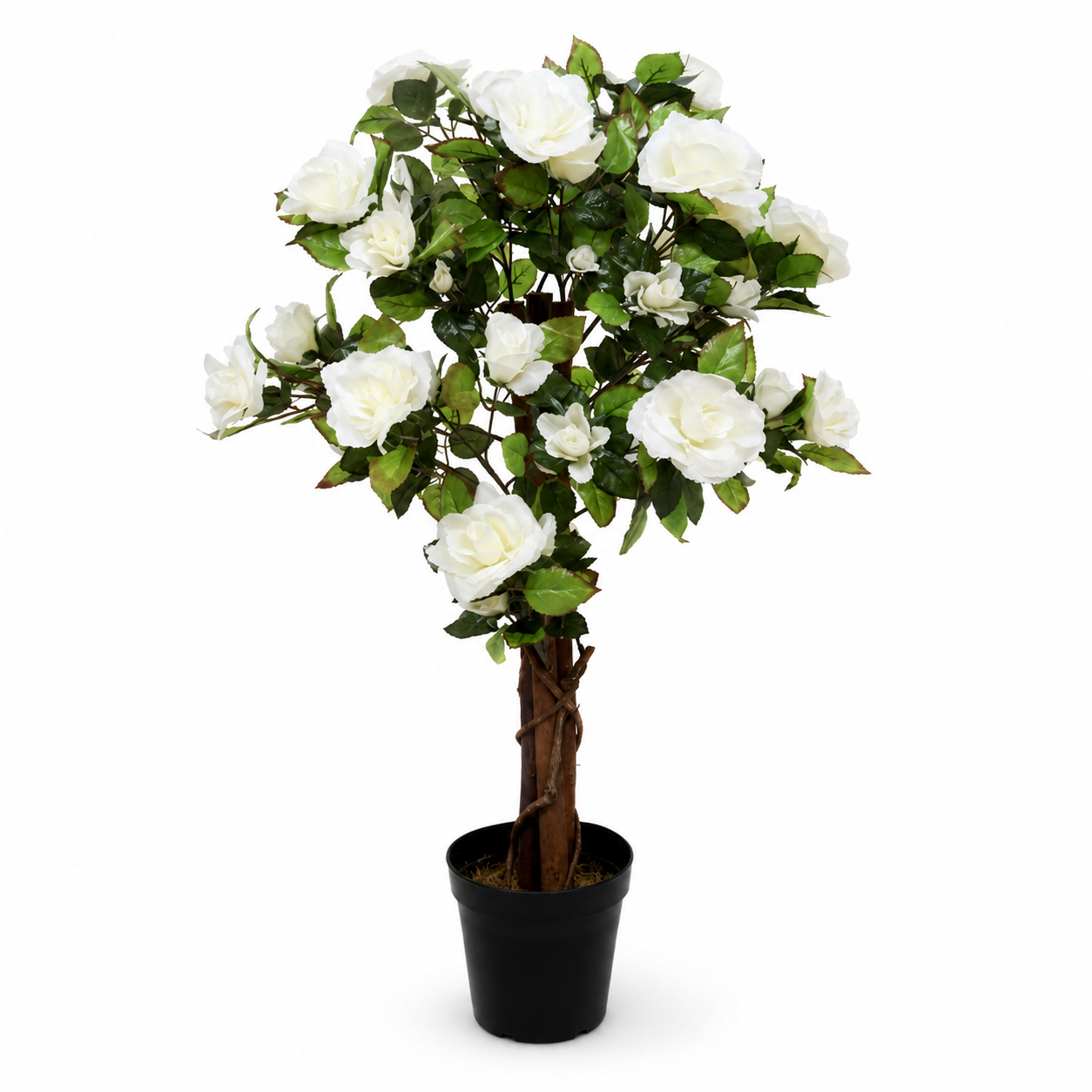 White Rose Tree 60 Flowers 90cm/3ft - A1404