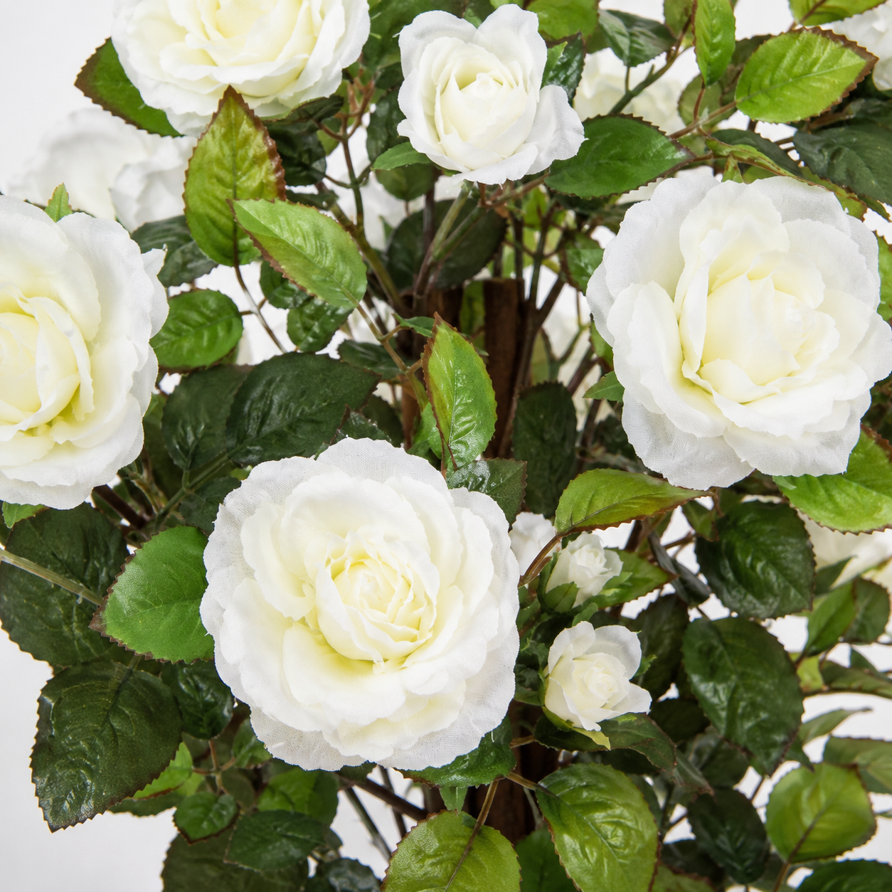 White Rose Tree 60 Flowers 90cm/3ft - A1404