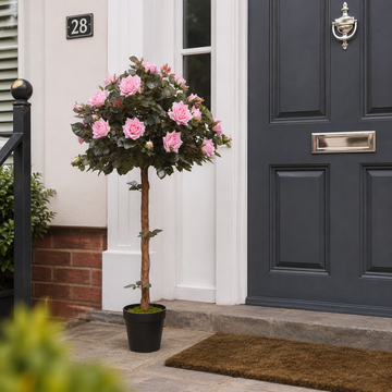 Pink Rose Tree 30 Flowers 120cm/4ft - A1405