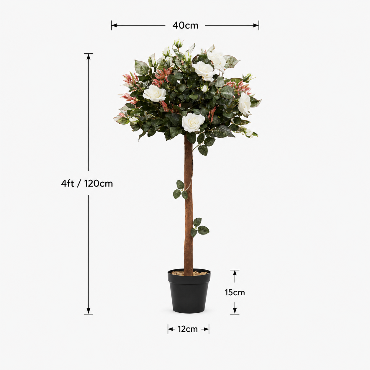 White Rose Tree 30 Flowers 120cm/4ft - A1406