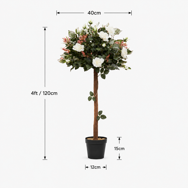 White Rose Tree 30 Flowers 120cm/4ft - A1406