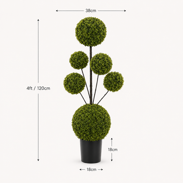 Six Ball Boxwood Topiary Tree 4ft/120cm - A1417