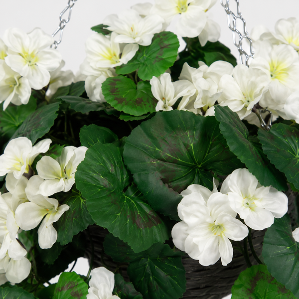 White Geranium Grey Rattan Hanging Basket with Vine (25cm) - A1449