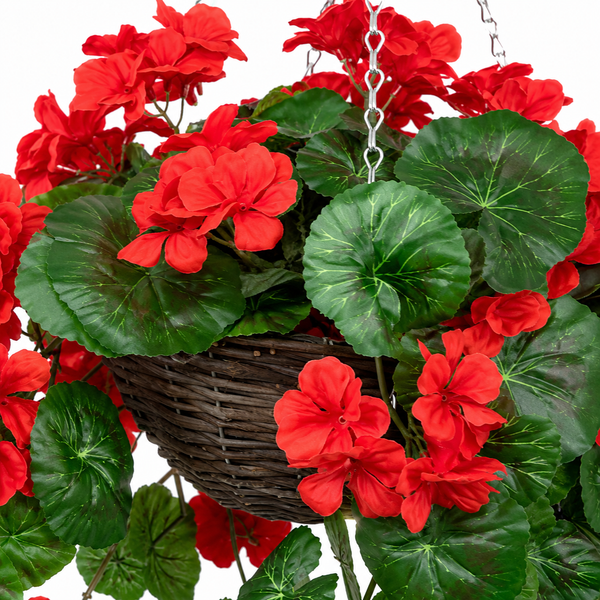 Red Geranium Rattan Hanging Basket with Vine (25cm) - A1450