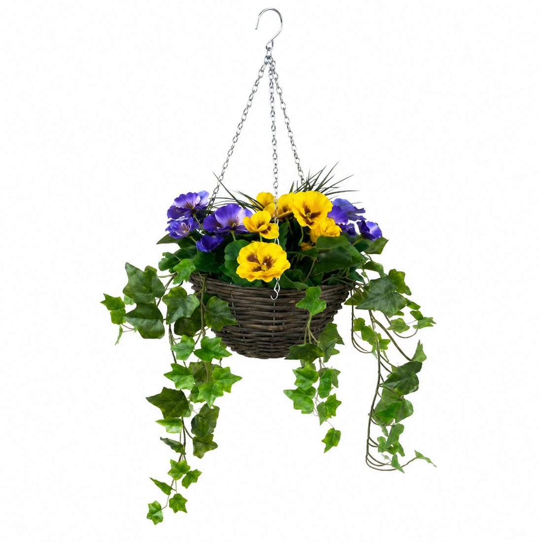 Purple & Yellow Pansy Hanging Basket with Ivy Vine (25cm) - A1451-GB