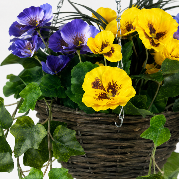 Purple & Yellow Pansy Hanging Basket with Ivy Vine (25cm) - A1451-GB