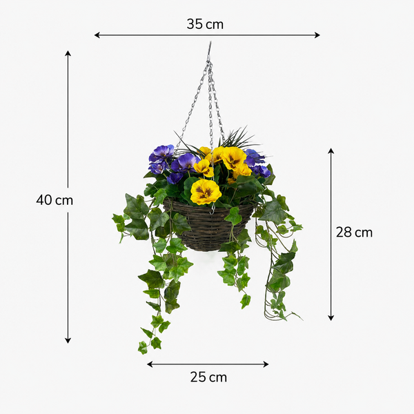 Purple & Yellow Pansy Hanging Basket with Ivy Vine (25cm) - A1451-GB