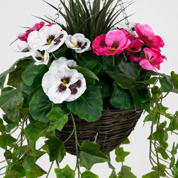 Pink and White Pansy Hanging Basket with Ivy (25cm) - A1452-GB