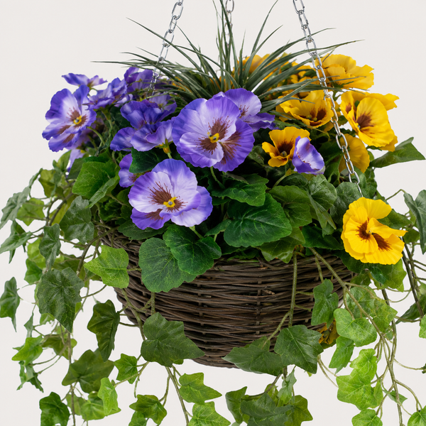 Purple and Yellow Hanging Basket with Ivy (30cm) - A1453