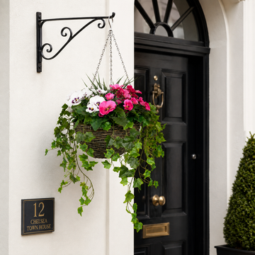 Pink and White Pansy Hanging Basket with Ivy (30cm) - A1454