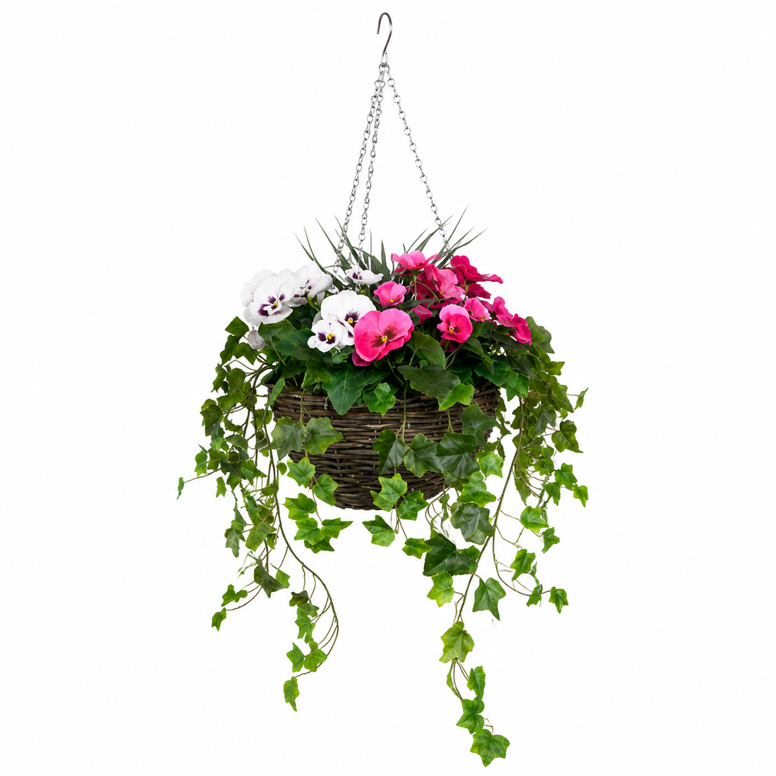 Pink and White Pansy Hanging Basket with Ivy (30cm) - A1454