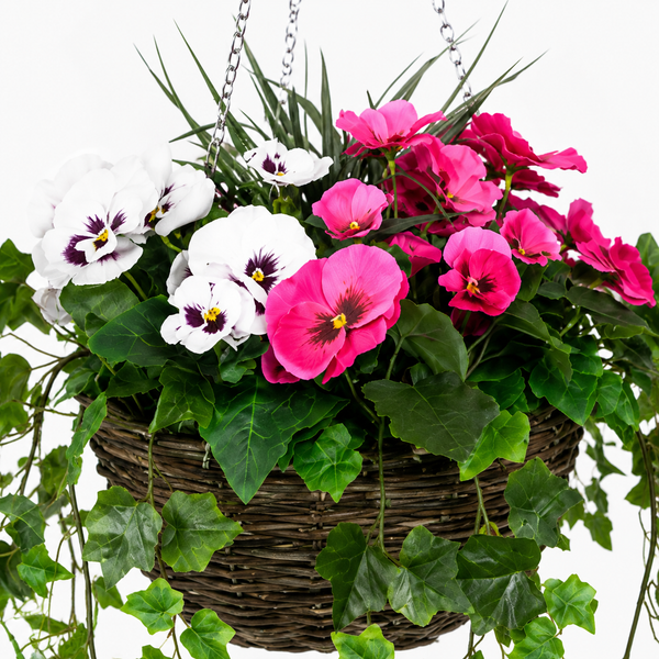 Pink and White Pansy Hanging Basket with Ivy (30cm) - A1454
