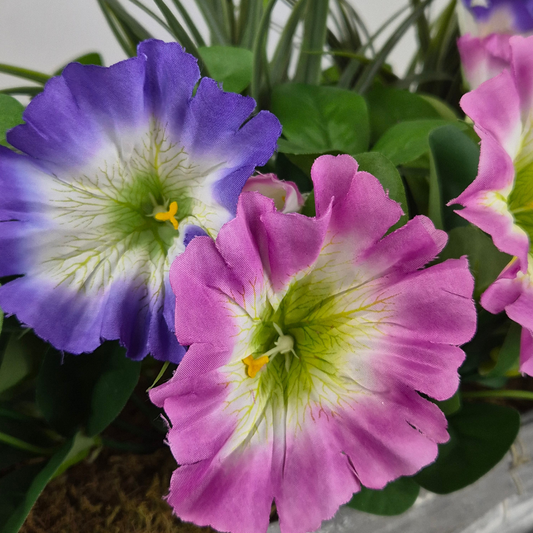 Artificial Pink & Purple Petunia Flowers & Lemon Grass in Rounded 40cm Rectangle Grey Wash Willow Basket - Faux Silk - A1328