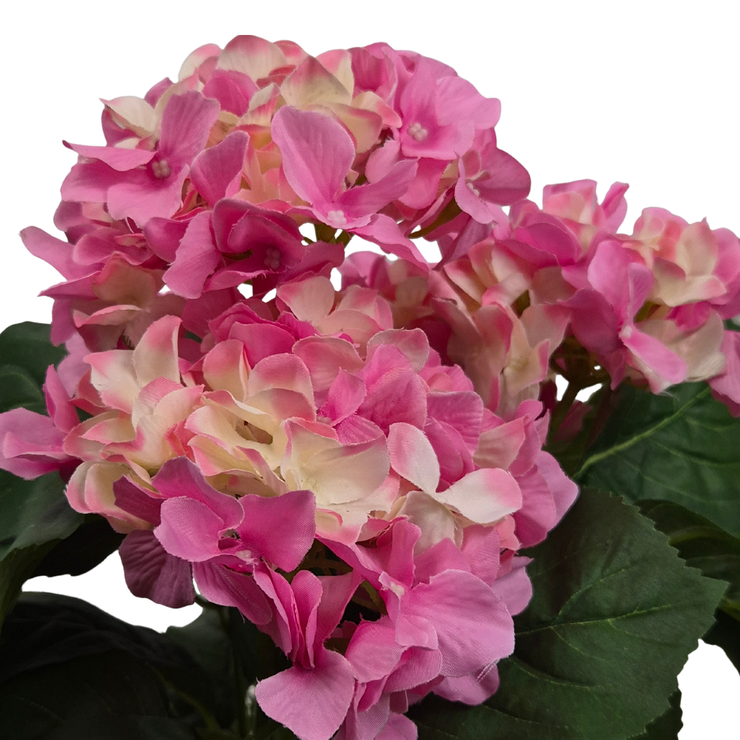 Artificial Pink Hydrangea Bush in Black Plastic Pot (Set of 2) 42cm - UV Protected, Faux Silk - A1340
