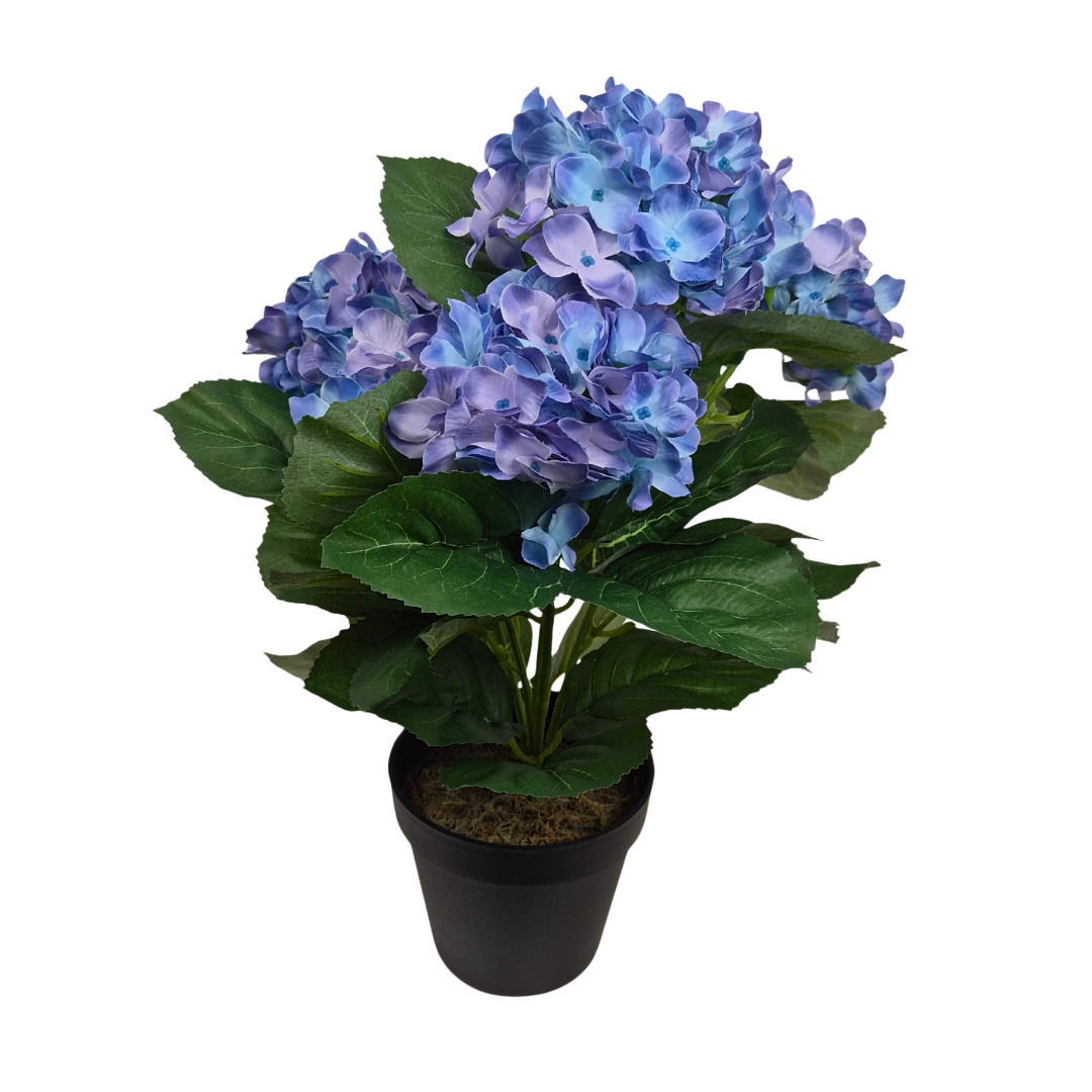 Artificial Blue Hydrangea Bush in Black Plastic Pot (Set of 2) 42cm - UV Protected, Faux Silk - A1339