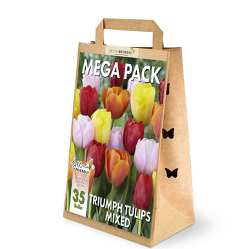 Mixed Triumph Tulip Mega Pack – 35 Mixed Colour Dutch Bulbs - B1089