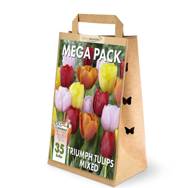 Mixed Triumph Tulip Mega Pack – 35 Mixed Colour Dutch Bulbs - B1089